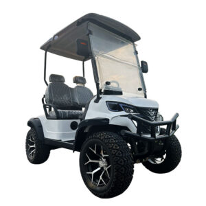 premium 2 seater electric golf cart | luxury comfort & full oem custom service