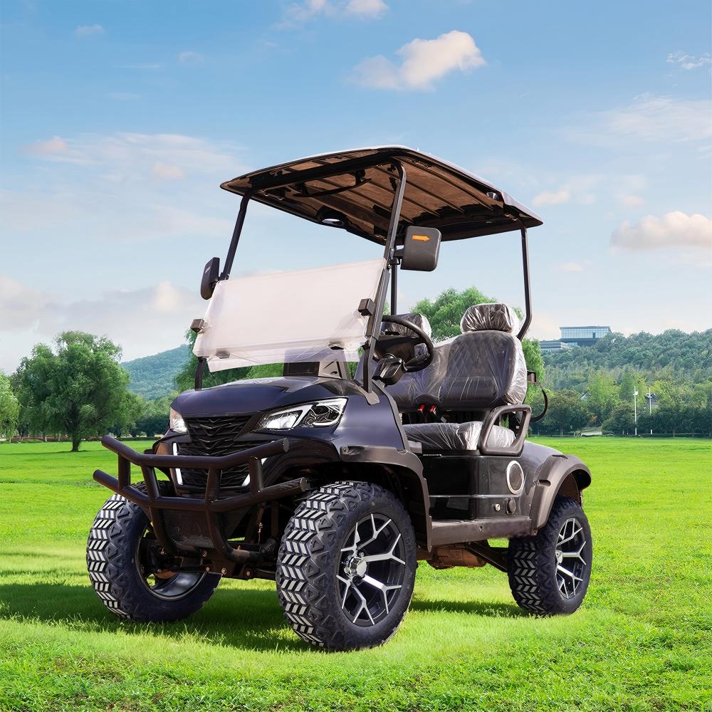Premium 2 Seater Electric Golf Cart | Luxury Comfort & Full OEM Custom Service premium 2 seater electric golf cart | luxury comfort & full oem custom service