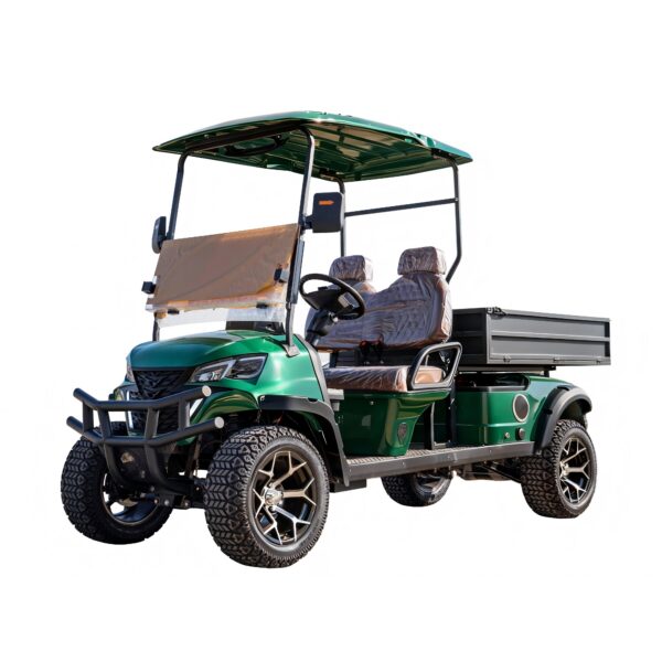 2 seater electric golf cart | durable, cost effective for golf courses & resorts