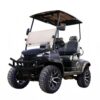 premium 2 seater electric golf cart | luxury comfort & full oem custom service
