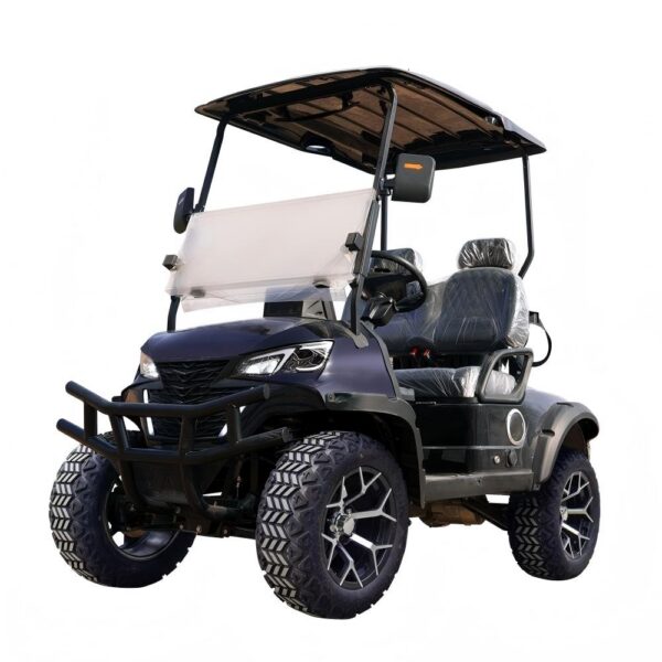 premium 2 seater electric golf cart | luxury comfort & full oem custom service premium 2 seater electric golf cart | luxury comfort & full oem custom service