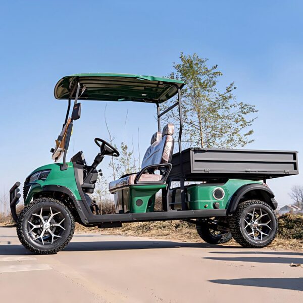 2 seater electric golf cart | durable, cost effective for golf courses & resorts