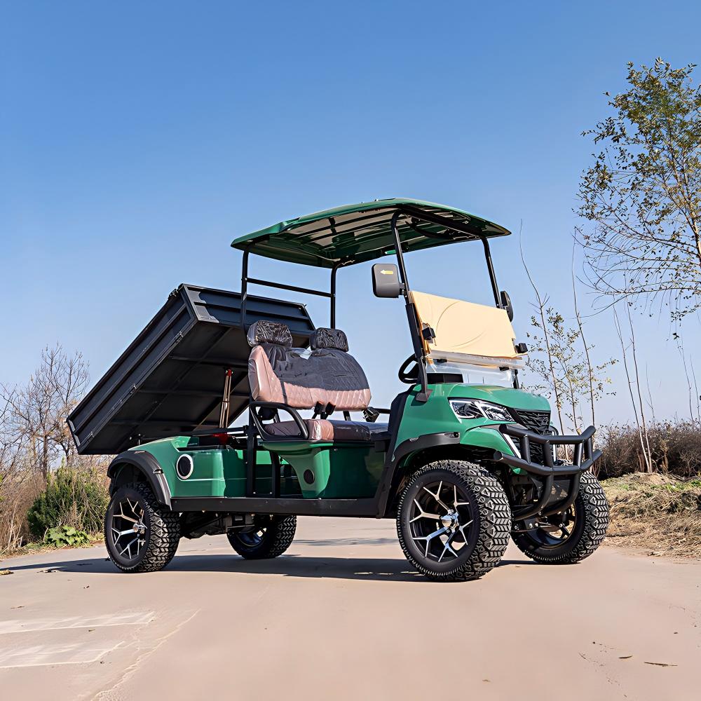 2 seater electric golf cart | durable, cost effective for golf courses & resorts