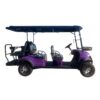 4 seater electric golf cart for scenic spots | stylish, comfortable & eco friendly sightseeing