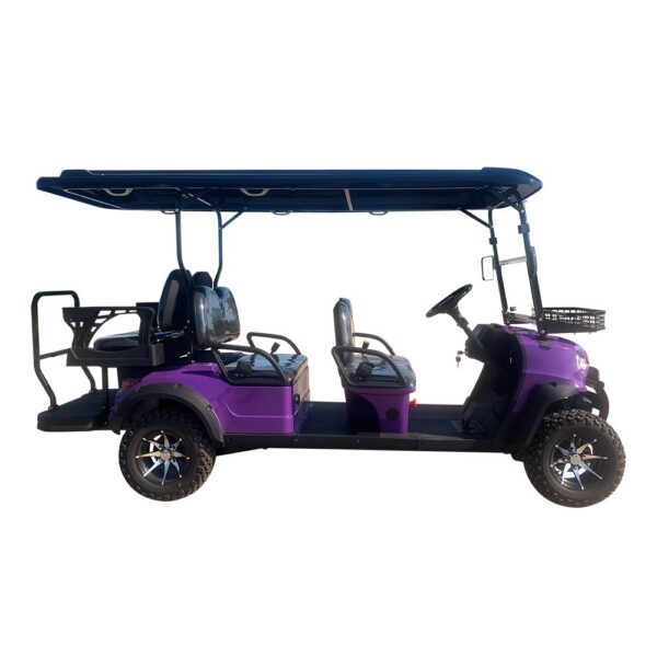 4 seater electric golf cart for scenic spots | stylish, comfortable & eco friendly sightseeing