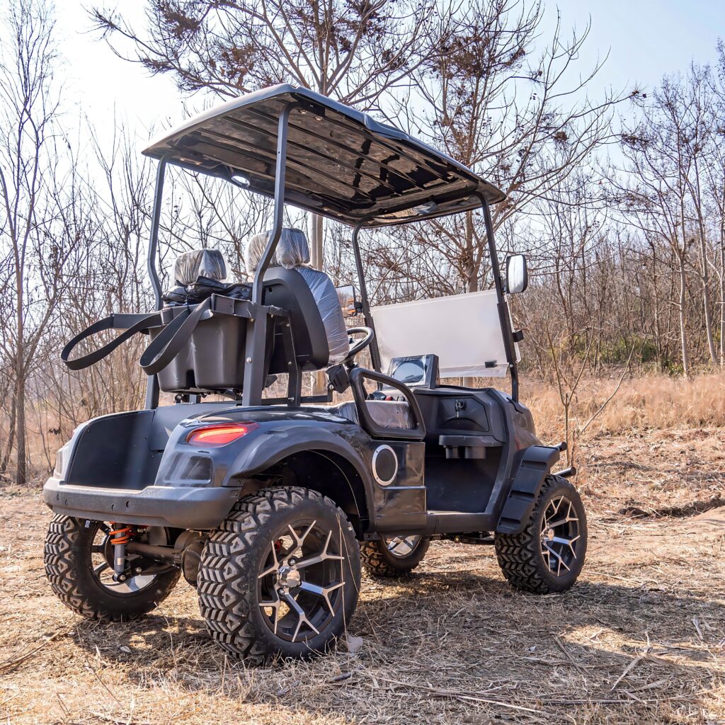 electric 2 seat golf cart with customization service