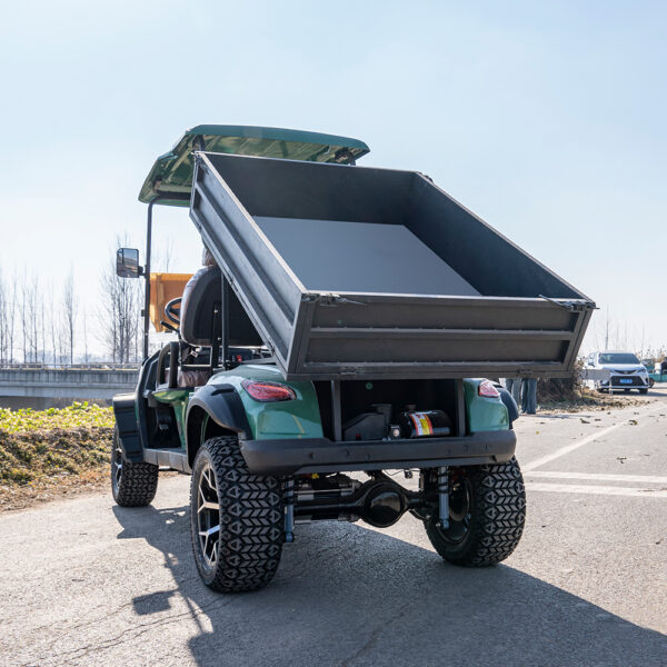 2 seater electric golf cart | durable, cost effective for golf courses & resorts