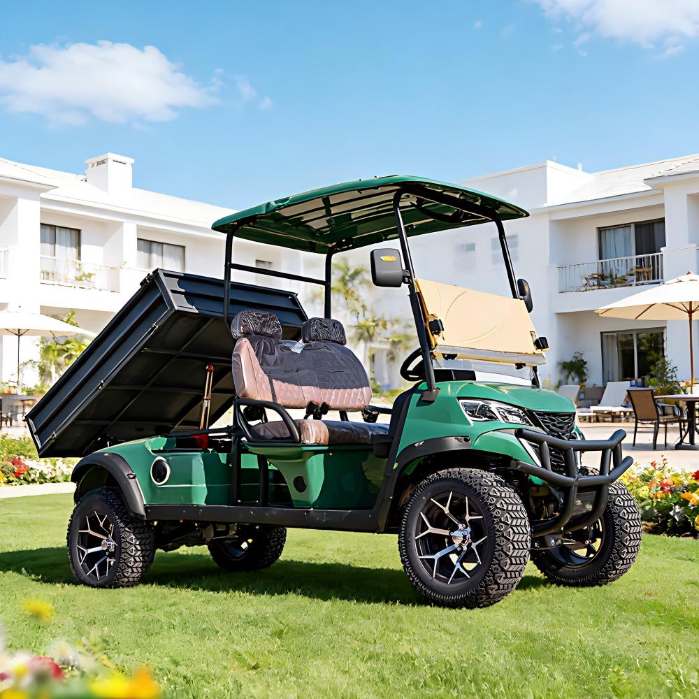 2 seater electric golf cart | durable, cost effective for golf courses & resorts