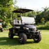 premium 2 seater electric golf cart | luxury comfort & full oem custom service