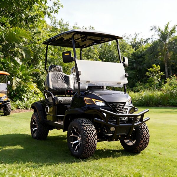 premium 2 seater electric golf cart | luxury comfort & full oem custom service premium 2 seater electric golf cart | luxury comfort & full oem custom service