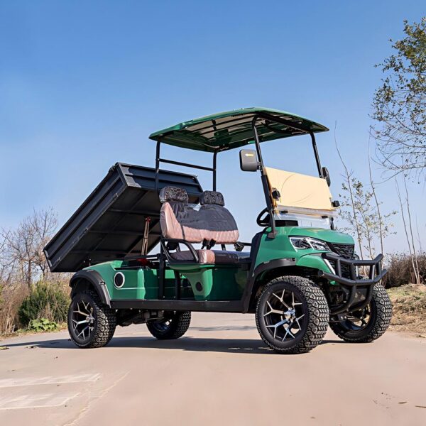 2 seater electric golf cart | durable, cost effective for golf courses & resorts