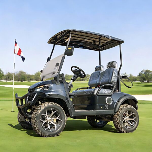 premium 2 seater electric golf cart | luxury comfort & full oem custom service premium 2 seater electric golf cart | luxury comfort & full oem custom service