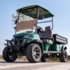 2 seater electric golf cart | durable, cost effective for golf courses & resorts
