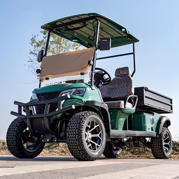 2 seater electric golf cart | durable, cost effective for golf courses & resorts