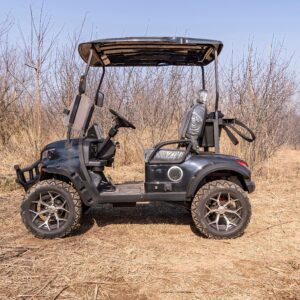 4 seat gasoline golf cart | powerful, fuel efficient & durable for golf courses, resorts & private villas