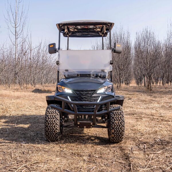 electric 2 seat golf cart with customization service