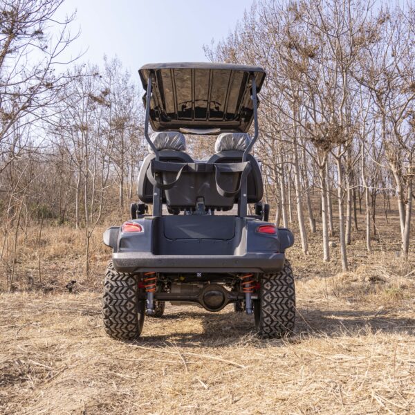 4 seat gasoline golf cart | powerful, fuel efficient & durable for golf courses, resorts & private villas