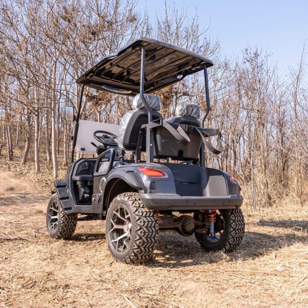 4 seat gasoline golf cart | powerful, fuel efficient & durable for golf courses, resorts & private villas